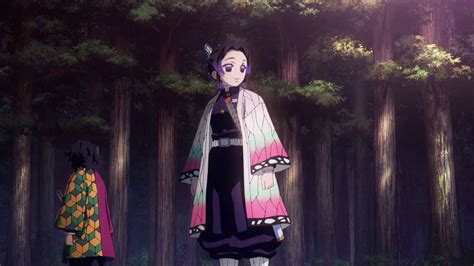 Demon Slayer | Shinobu Kocho | Character Analysis — Poggers