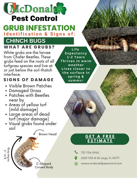 Download Forms and Brochures | McDonald Pest Control | 727-734-0963