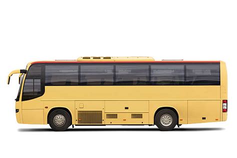 Image result for Tui Bus Liver Side View