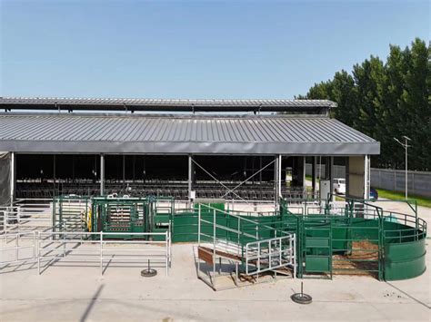 Inside Cattle Processing Plant Video 的图像结果