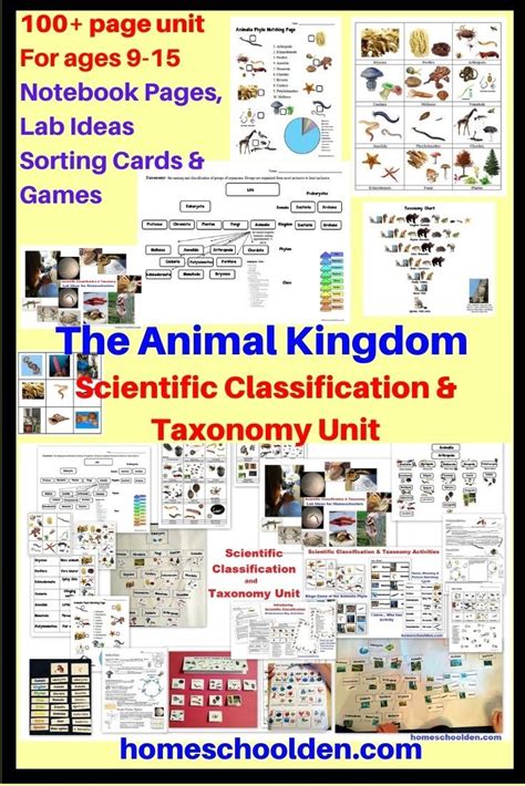 Image result for Scientific Classification