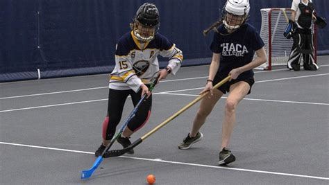 Floor Hockey 的图像结果