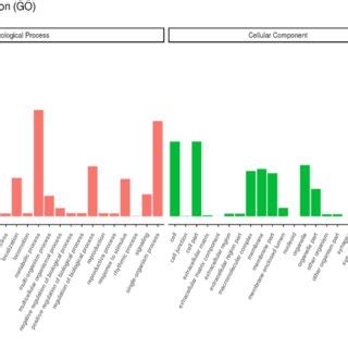 Go Annotation Tools 的图像结果