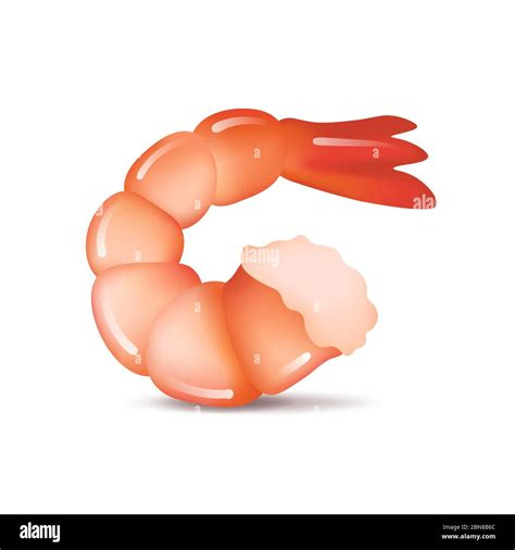Cooked Shrimp Clip Art