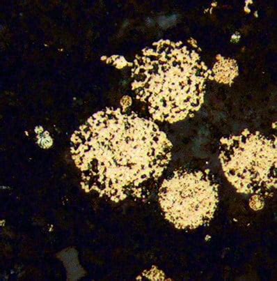 Minerals | Special Issue : Pyrite Varieties and LA-ICP-MS Geochemistry ...