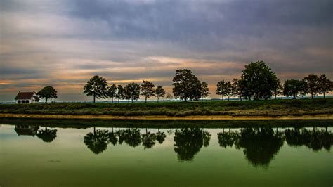 Nature Background HD 的图像结果