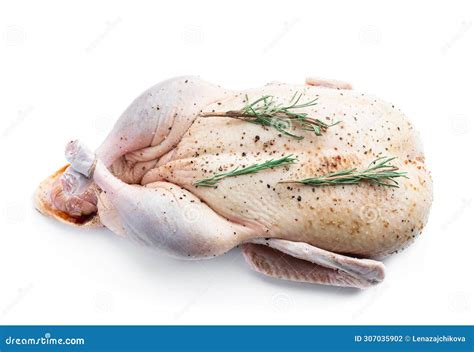 Raw Whole Duck with Spices and Marinade Isolated on White. Ready To Cooking Stock Photo - Image ...