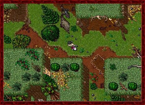 Image result for Tibia.com