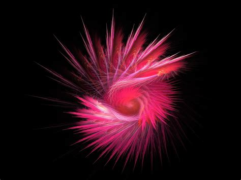 Image result for Economic Behavior