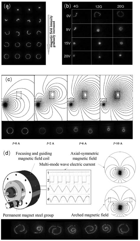 Progress in the Circular Arc Source Structure and Magnetic Field Arc ...