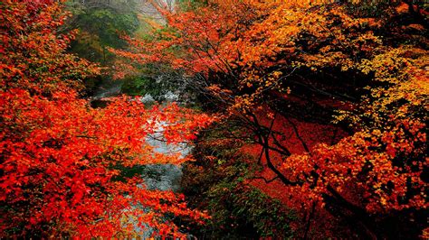Weather in Japan in October | Rough Guides
