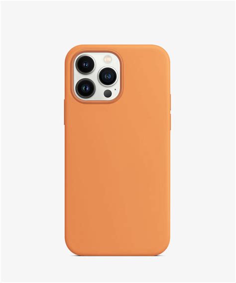 iPhone 13 Pro cases – CASEDODO