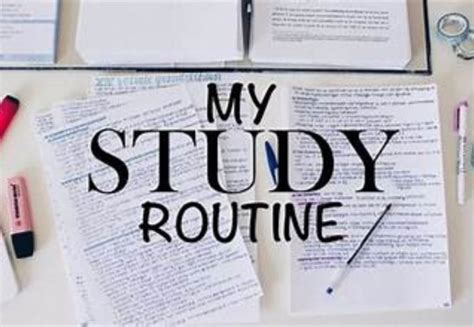 Study Daily Routine 的图像结果