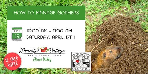 How to Manage Gophers, Peaceful Valley Farm and Garden Supply, Grass ...