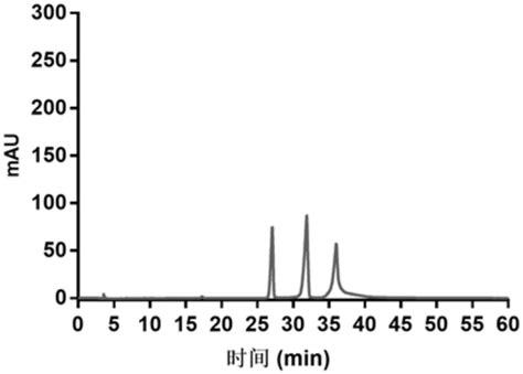 RNA Polya 的图像结果