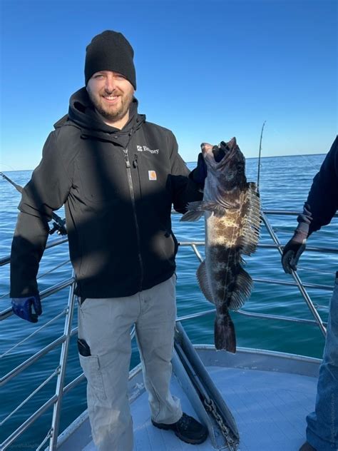 Tradewinds Charters 的图像结果