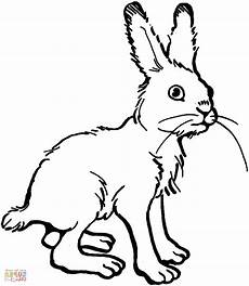 hase malvorlagen ausdrucken hase zum ausdrucken neu 36 skizze hasen malvorlagen zum hase malvorlagen ausdrucken hase zum ausdrucken neu 36 skizze hasen malvorlagen zum