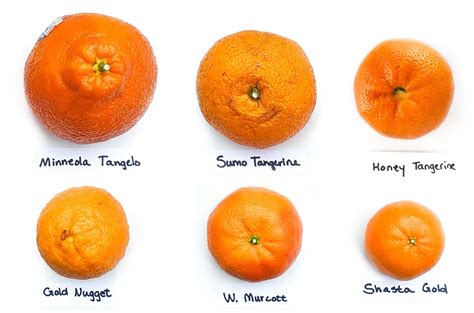 Mandarins: The Ultimate Guide