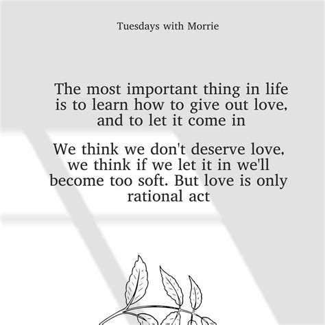 Morrie Life Quotes