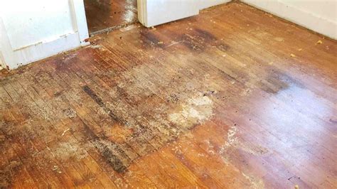 Damaged Hardwood Floors Before and After: Get The Best Insights ...