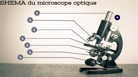 Image result for Microscope Schema Optique
