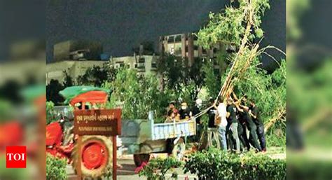 Ahmedabad: Green Samaritans replant fresh hope for 500 trees ...