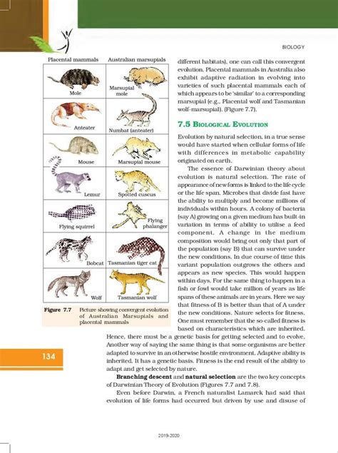 Bio Class 12 Up Board Chapter 1 的图像结果