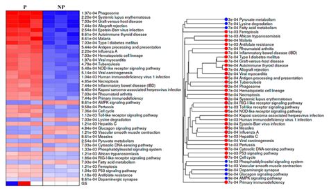 Whole-Genome Uterine Artery Transcriptome Profiling and Alternative ...
