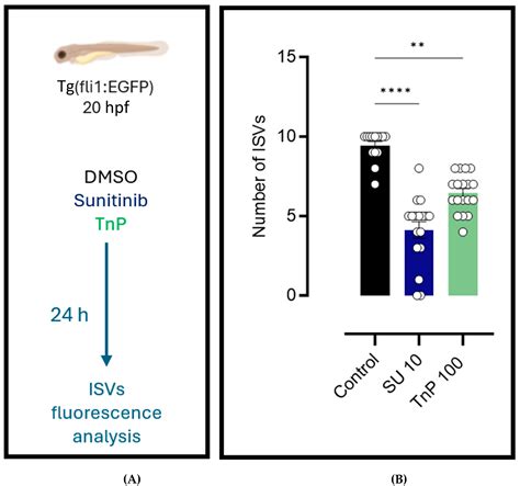 Evaluating TnP as a Potential Therapeutic Agent for Retinopathy in ...
