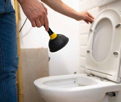 Common Toilet Problems 的图像结果