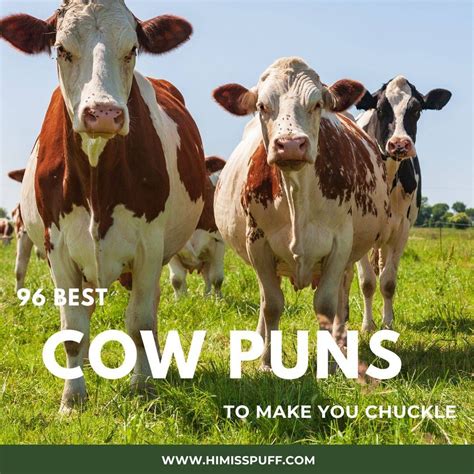 Laugh Out Loud with these Cow Puns!