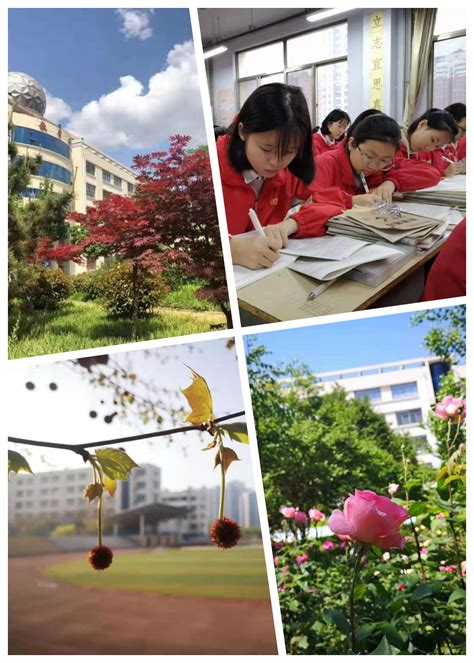 泰安长城中学2023年度教育教学工作百事记