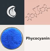 Image result for Phycocyanin