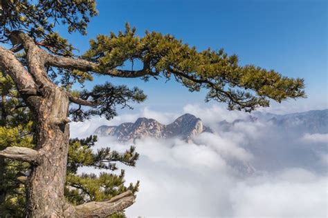 华阴华山游玩攻略-华山门票多少钱/价格表-团购票价预定优惠-景点地址在哪里/图片介绍/参观预约/旅游游览顺序攻略及注意事项/营业时间-【携程攻略】