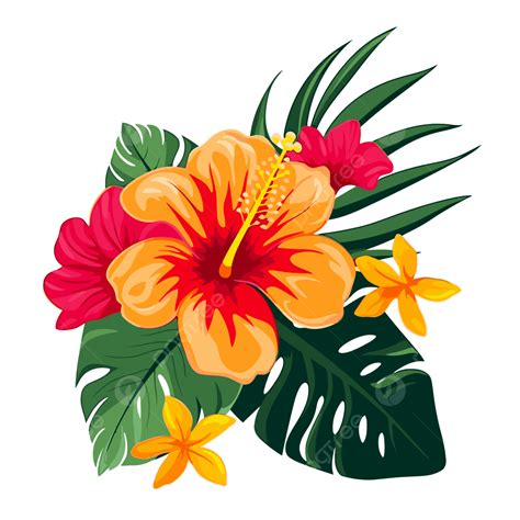 Tropical Flowers Clipart Free | Best Flower Site