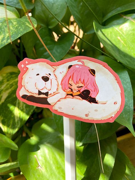 Chibi Aanya & Bondo San – Catsoul