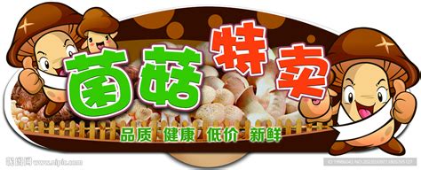 金大州菌菇世家20年，味道与质量更要C位出道-中国安全食品网