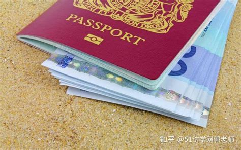 申请英国访问学者签证都有哪些类型？ - 知乎