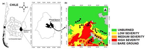 Fire Severity Causes Temporal Changes in Ground-Dwelling Arthropod ...