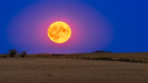 The full 'Corn Moon' rises this week — bringing a 'blood moon' lunar ...