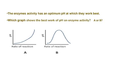 Image result for PH and Enzyme Function
