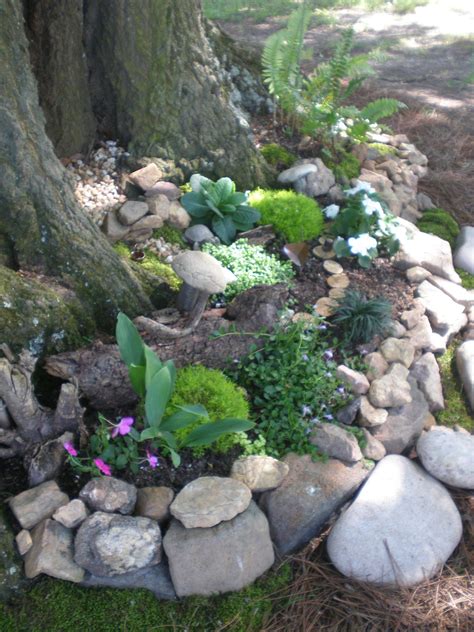 22 Shade Rock Garden Plants Ideas You Cannot Miss | SharonSable