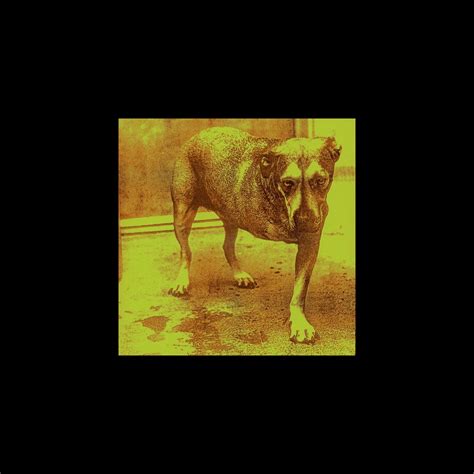 ‎Alice In Chains - Album by Alice In Chains - Apple Music