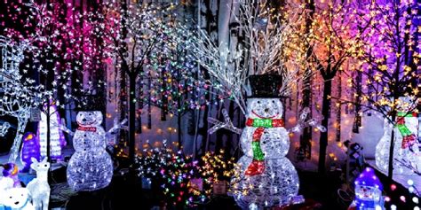 Image result for Programmable Net Lights