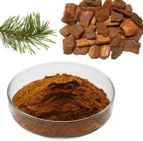 Natural Relief: Managing Sciatica through Supplements – Nutrisage India