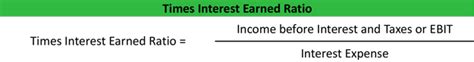 Image result for Times interest earned Example