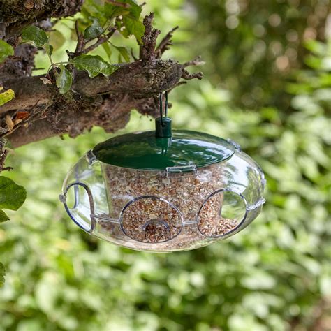 Peckish Small Bird Feeder - Wild Bird Feeders – Peckish UK
