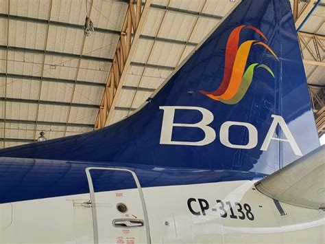 Image result for Digex Services