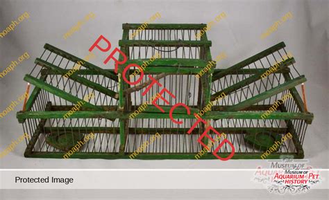 Image result for Primitive Catching Bird