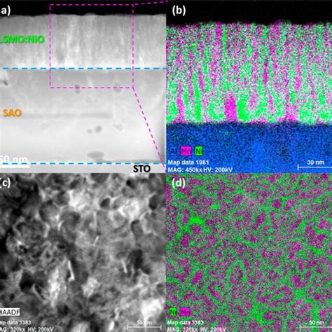 Low-mag scanning transmission electron microscopy (STEM) images in (a ...